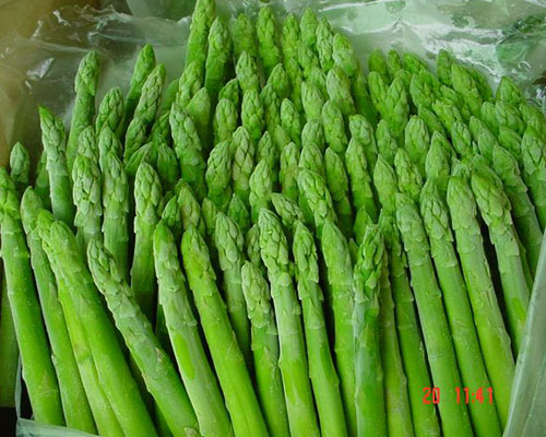 Asparagus  Made in Korea